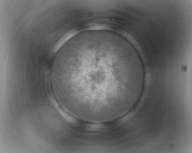 X0000114221425200910091337