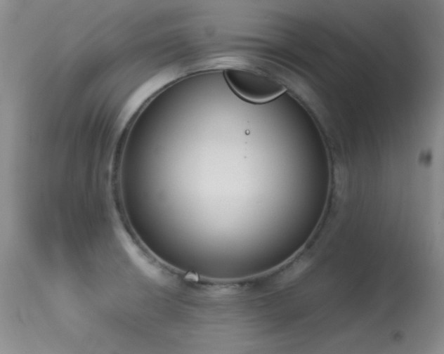 X0000114221426200910091337