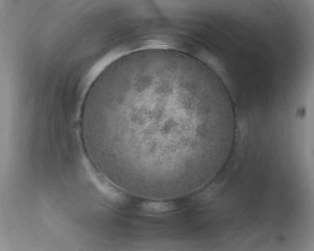 X0000114221427200910091337