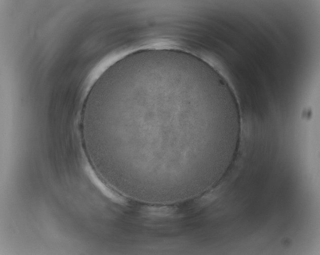 X0000114221429200910091337