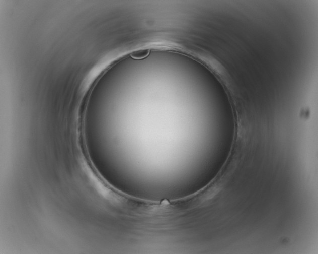 X0000114221430200910091337