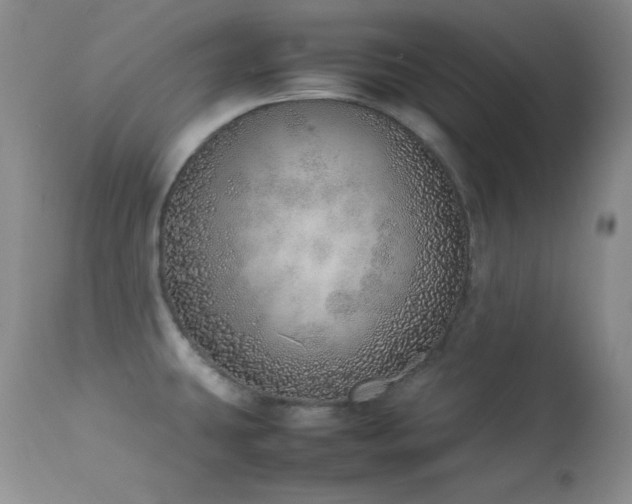 X0000114221431200910091337