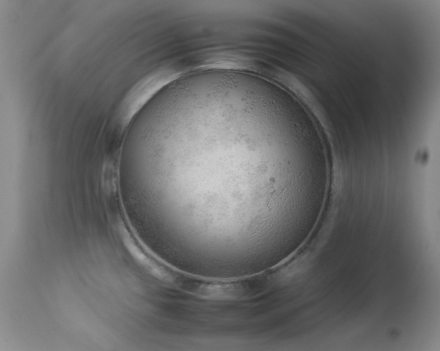 X0000114221433200910091337