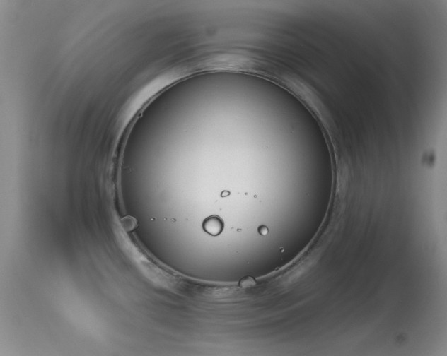 X0000114221434200910091337