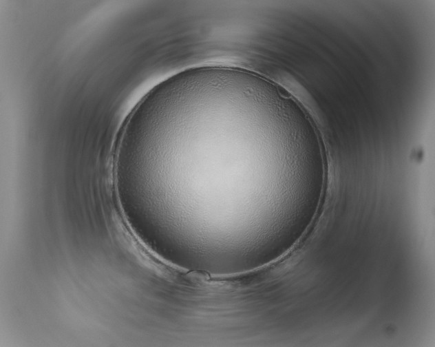 X0000114221436200910091337