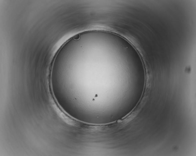 X0000114221438200910091337