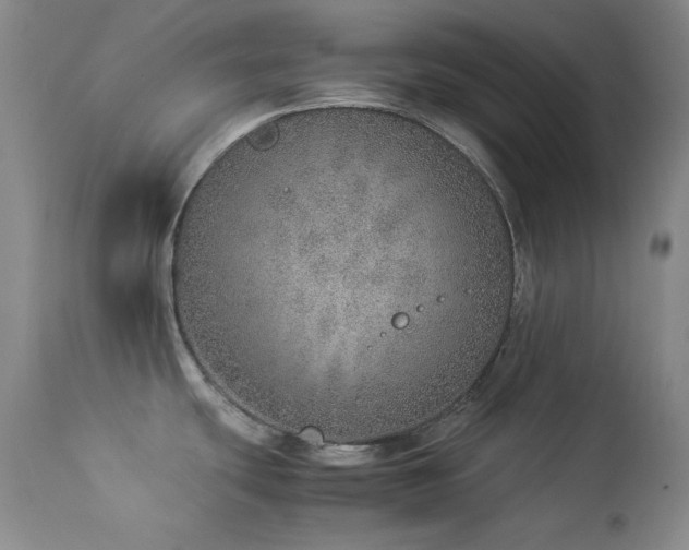 X0000114221439200910091337