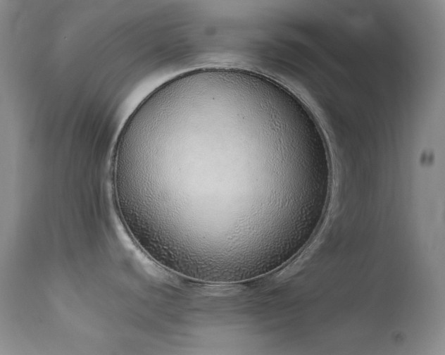X0000114221440200910091337