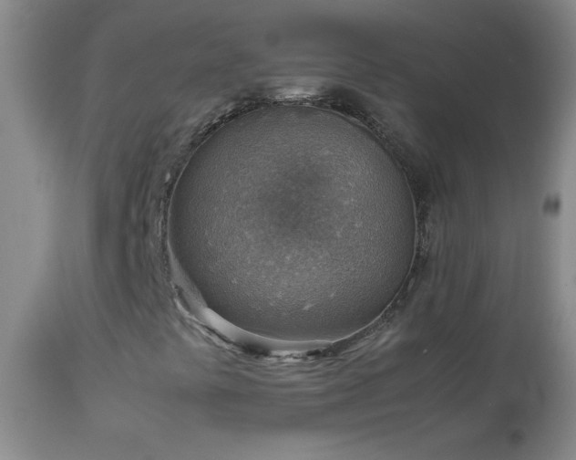 X0000114221441200910091336