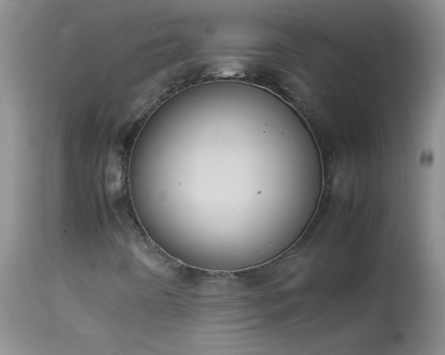 X0000114221442200910091336