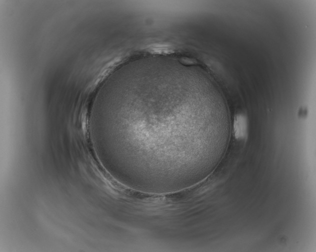 X0000114221444200910091336