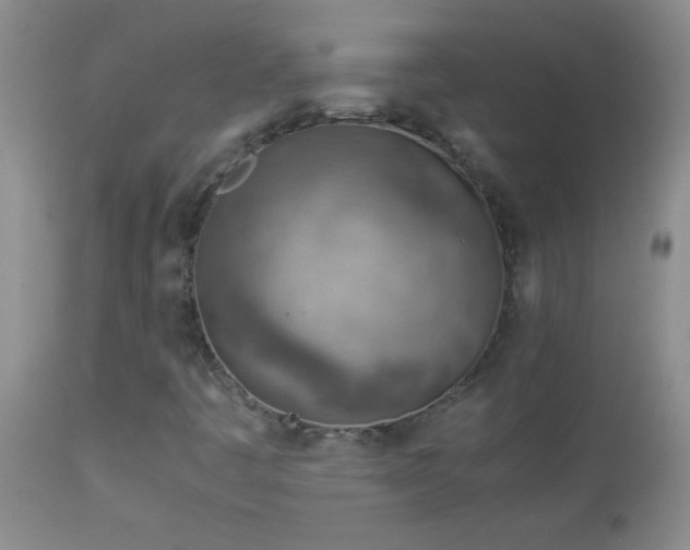 X0000114221445200910091336