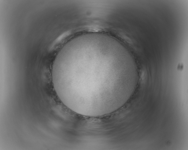 X0000114221446200910091336