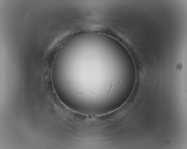 X0000114221447200910091336