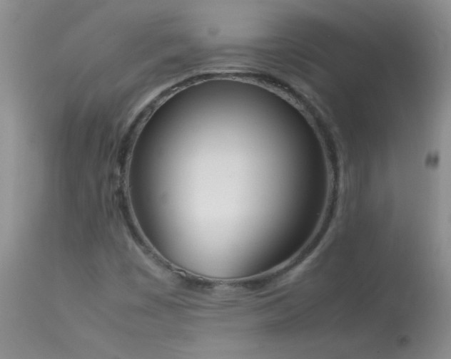 X0000114221449200910091336