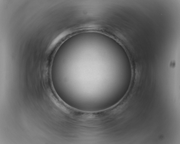 X0000114221450200910091336