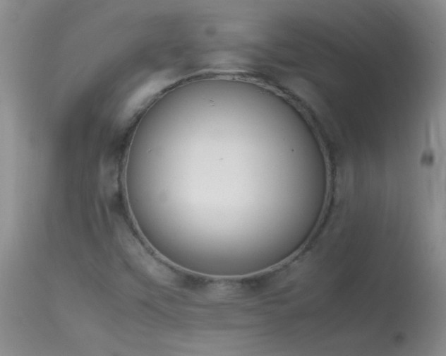 X0000114221451200910091336