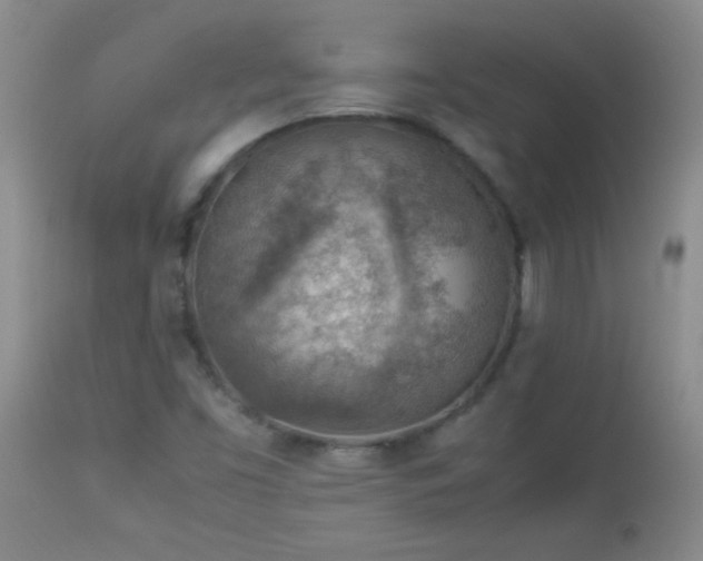 X0000114221453200910091336