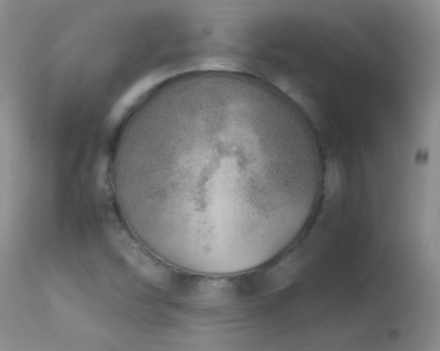 X0000114221454200910091336