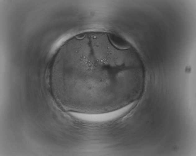 X0000114221455200910091336