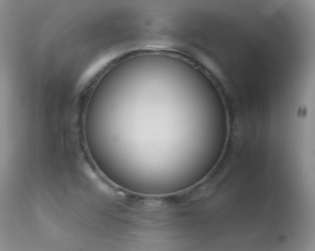X0000114221456200910091336
