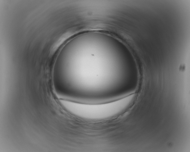 X0000114221457200910091336