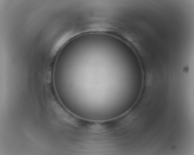 X0000114221459200910091336