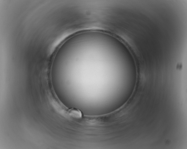 X0000114221460200910091336