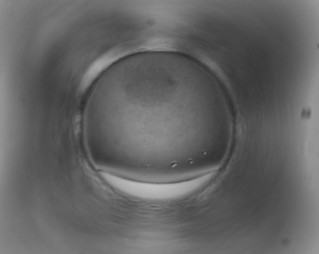 X0000114221461200910091336