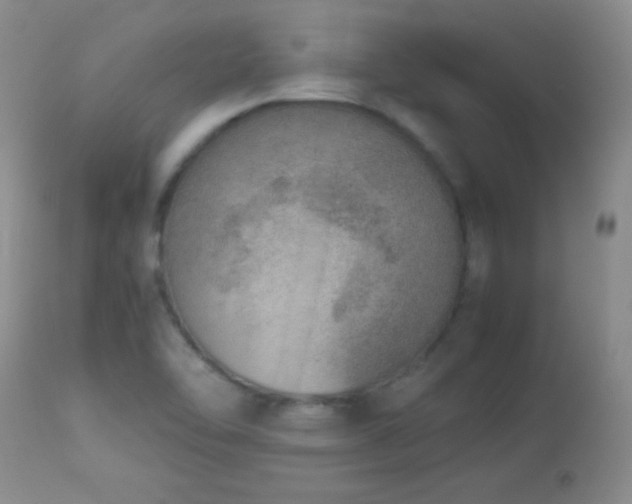 X0000114221462200910091336