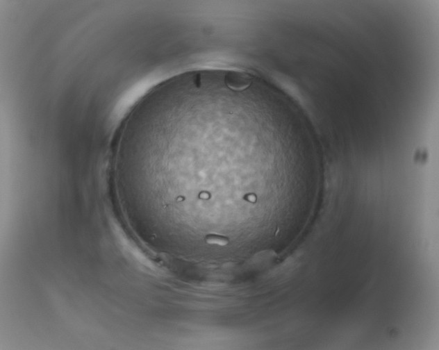X0000114221463200910091336