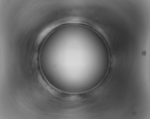 X0000114221464200910091336