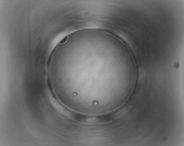 X0000114221467200910091336