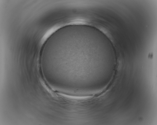 X0000114221469200910091336