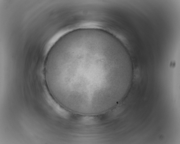 X0000114221470200910091336