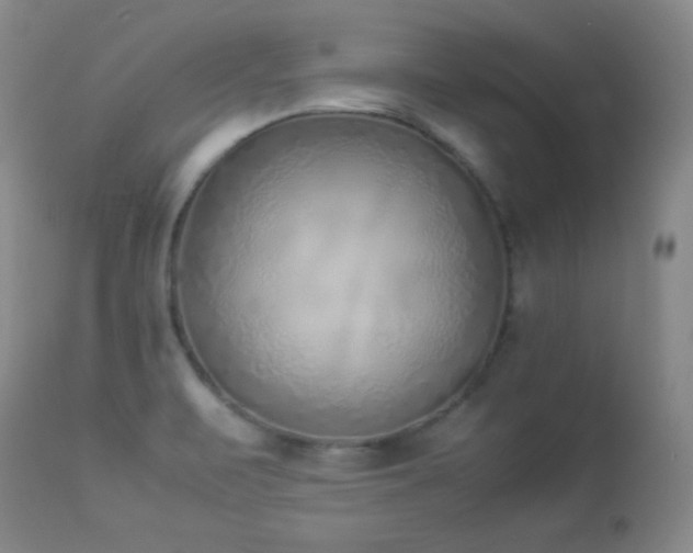 X0000114221471200910091336