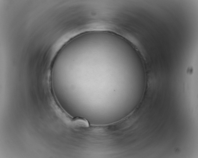 X0000114221472200910091336
