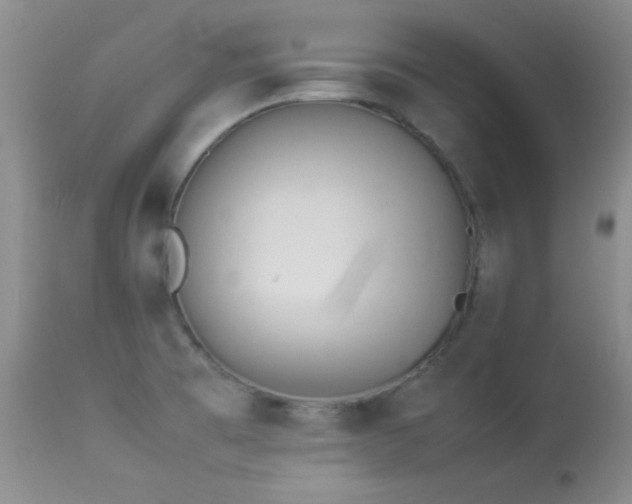 X0000114221473200910091336