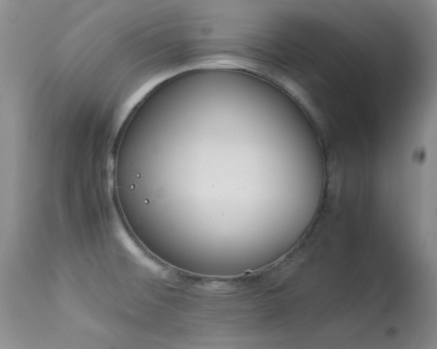 X0000114221476200910091336