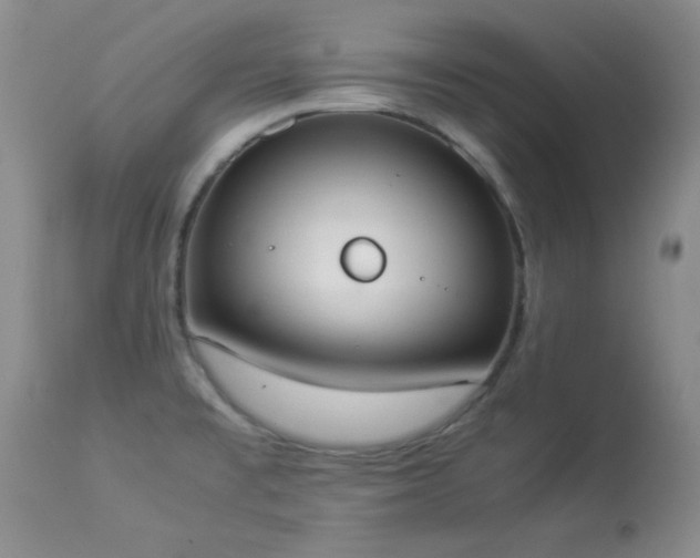 X0000114221477200910091336