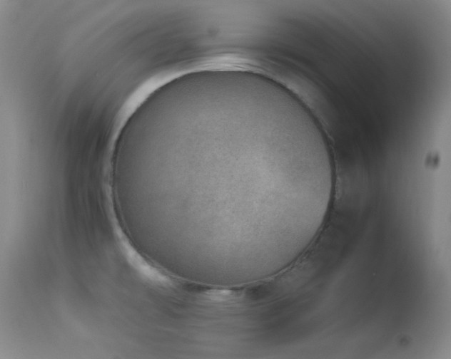 X0000114221478200910091336