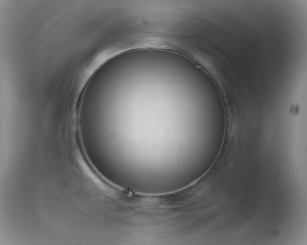 X0000114221479200910091336