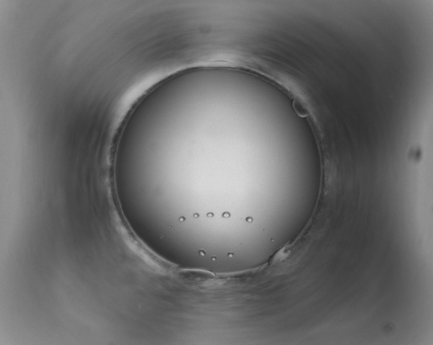 X0000114221480200910091336