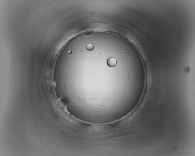 X0000114221481200910091336