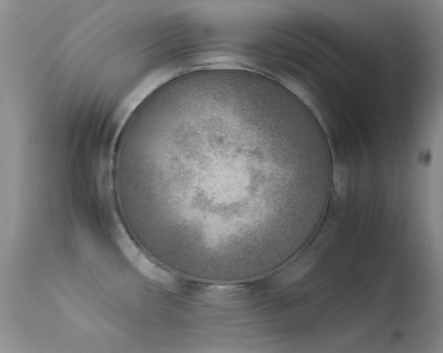 X0000114221482200910091336