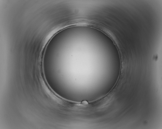 X0000114221483200910091336