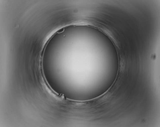 X0000114221484200910091336
