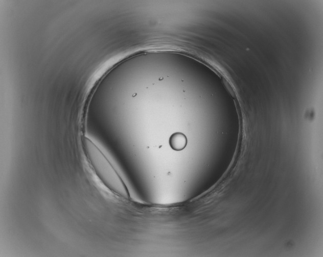 X0000114221485200910091336