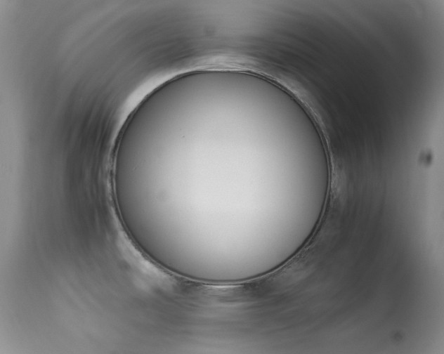 X0000114221486200910091336