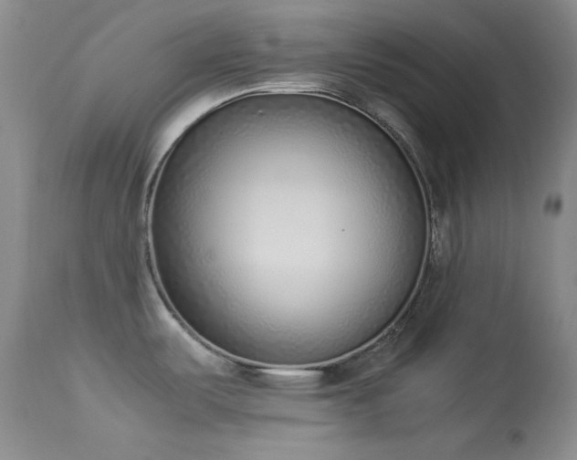 X0000114221487200910091336